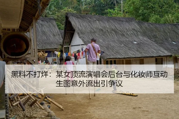 黑料不打烊：某女顶流演唱会后台与化妆师互动生图意外流出引争议